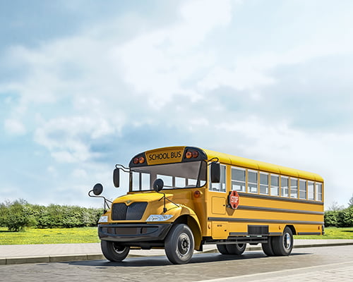 School Animal Field Trips